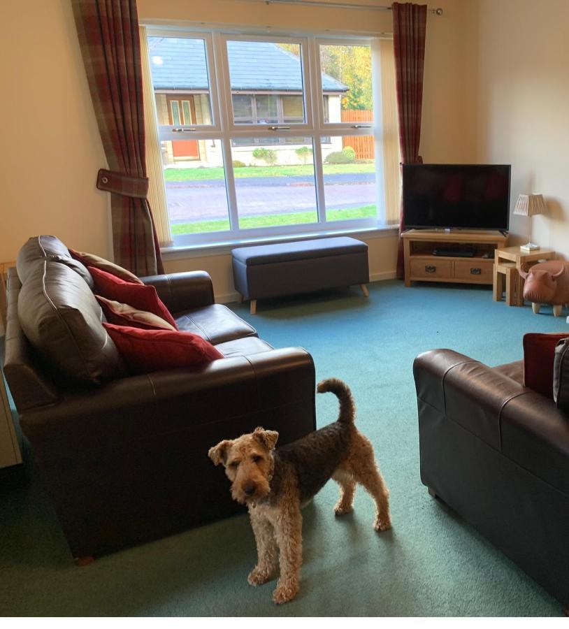 Cairngorm Cottage Aviemore Extérieur photo